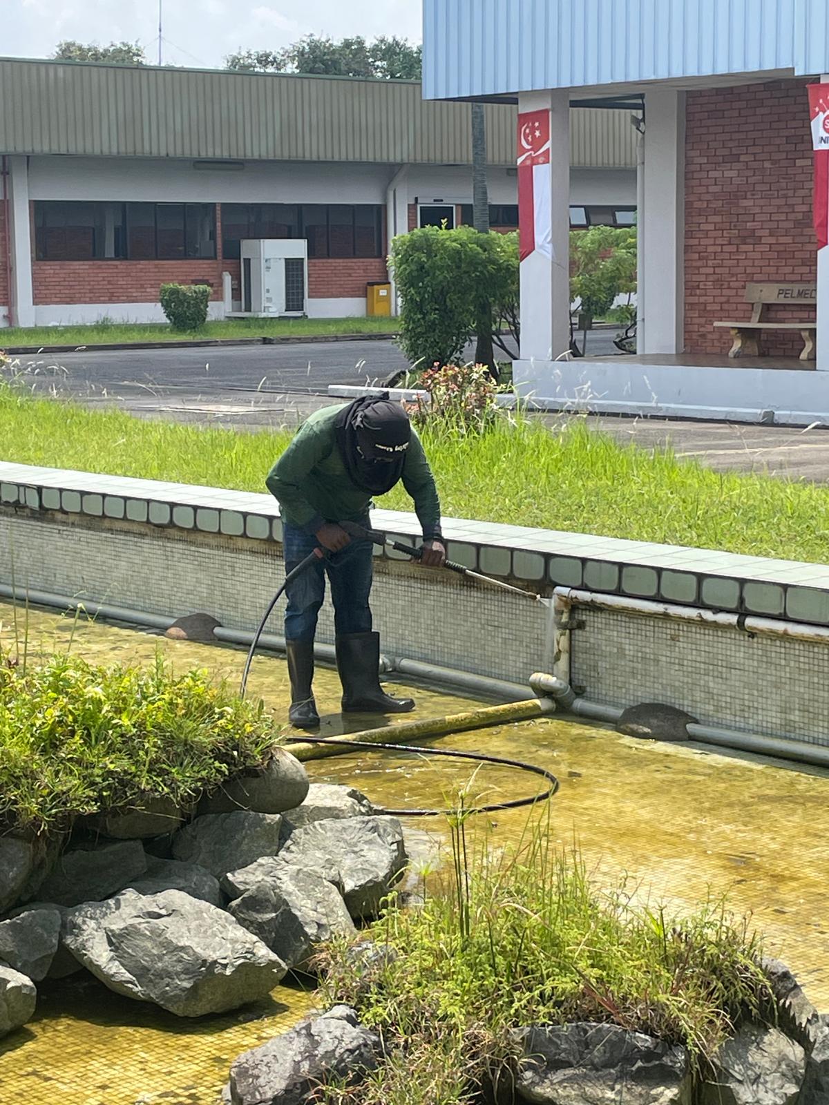 Tree Cutting Services Singapore